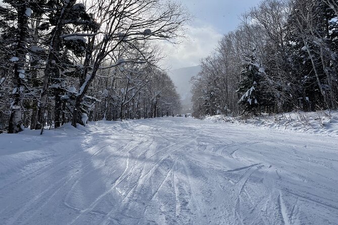 Sapporo Private Ski/ Snowboard Lesson With Pick-Up Service - Tour Specifics