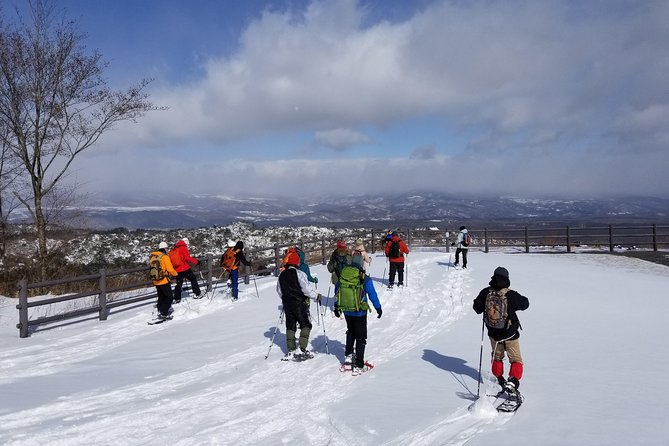 -Snow Mountain Hiking at the Foot of Asama- Karuizawa Snowshoe Tour - Pricing and Booking Details