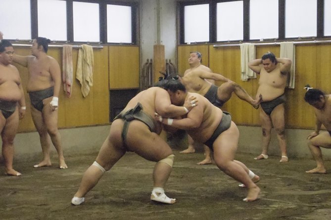 Sumo Morning Practice Tour at Stable in Tokyo - Tour Experience