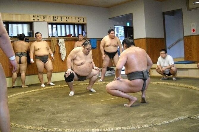 Sumo Morning Practice Tour in Tokyo, Sumida City - Rules and Etiquette