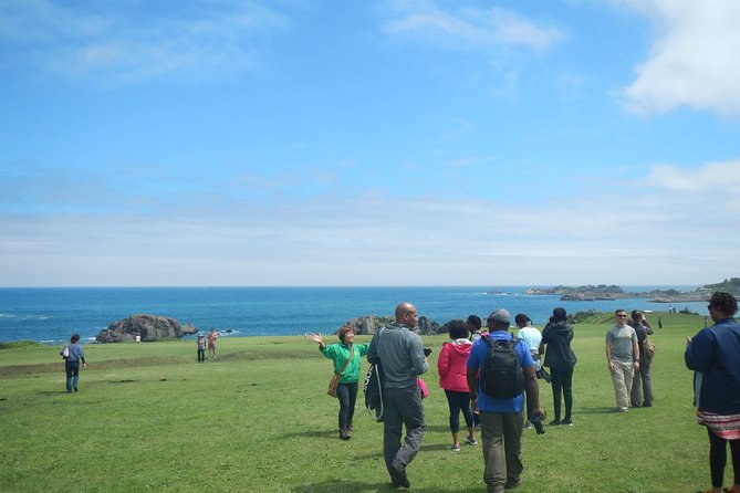 The Best Morning and Michinoku Shiokaze Trail Trekking in the Tanesashi Coast Natural Grassland - Scenic Highlights