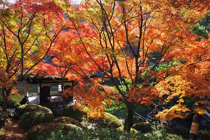 The Best of Wakayama City Private Tour - Immersion in Traditions, Culture, and Cuisine