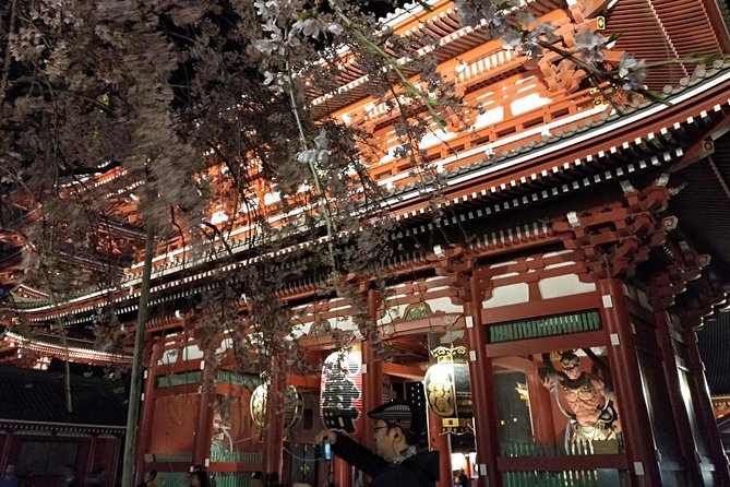 Tokyo 1-Day Private Tour/Customization & Hotel Gathering OK! - Pricing and Options