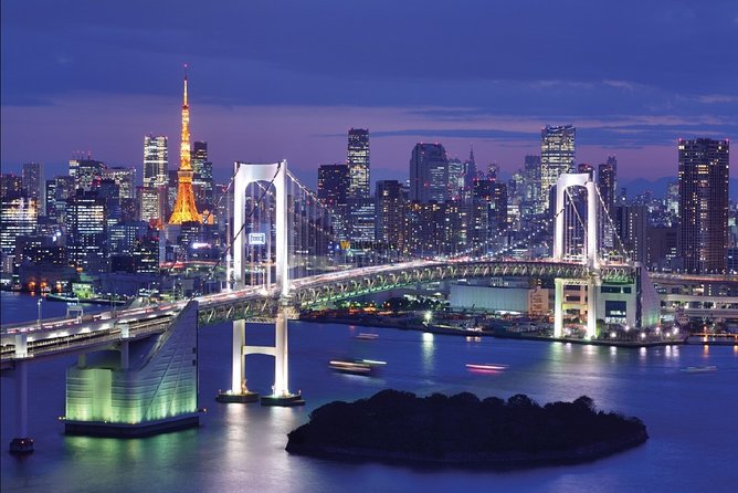 Tokyo Airport Transfers: Tokyo City to Tokyo-Narita Airport NRT in Luxury Van - Additional Information and Support