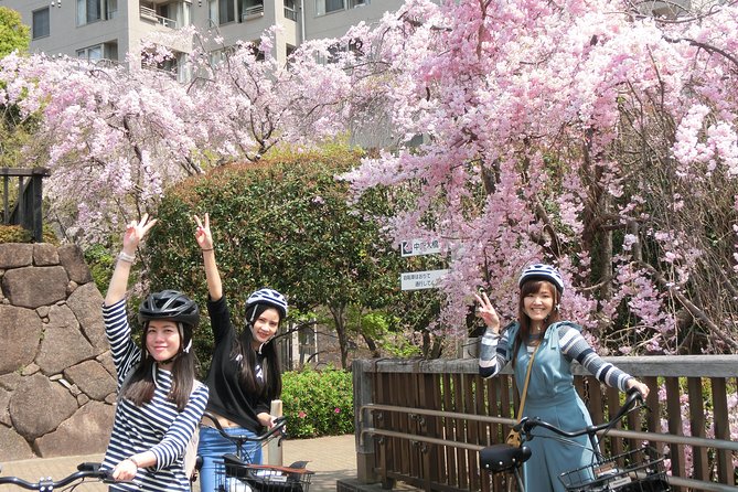 Tokyo Cherry Blossoms Blooming Spots E-Bike 3 Hour Tour - Traveler Reviews and Recommendations