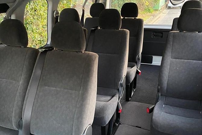 Tokyo Private Transfer for Haneda Airport (Hnd) - Toyota HIACE 9 Seats - Participation and Group Size