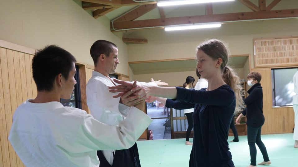 What Is Aikido? (An Introduction to the Japanese Martial Art - Techniques and Training
