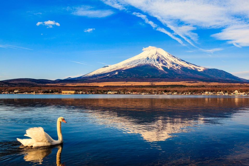 1-Day Trip: Mt Fuji Kawaguchi Lake Area - Itinerary
