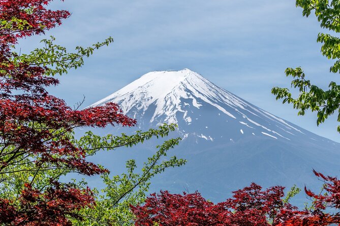 9-Day Japan and South Korea Highlight Tour - Hiroshima and Miyajima Experience