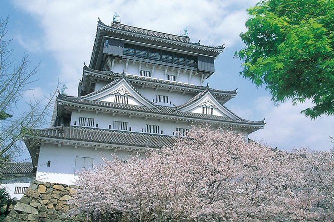 A Day Charter Bus Tour Around Cherry Blossoms in Northern Kyushu - Frequently Asked Questions