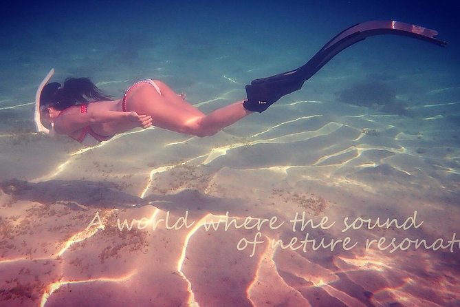 Amami Oshima Skin Diving Photo & Movie Tour! - The Sum Up