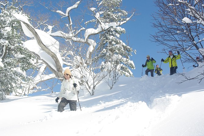 Fluffy New Snow and the Earth Beating, Goshougake Oyunuma Snowshoeing Tour - Meeting Information