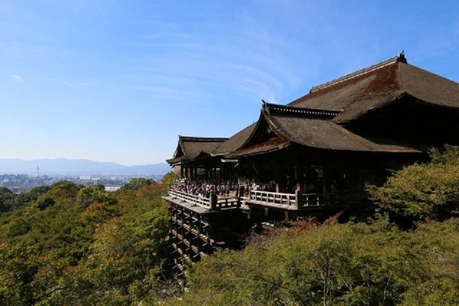 Free Choice of Itineraries Kyoto Private Tour - Transportation Options for Your Private Tour