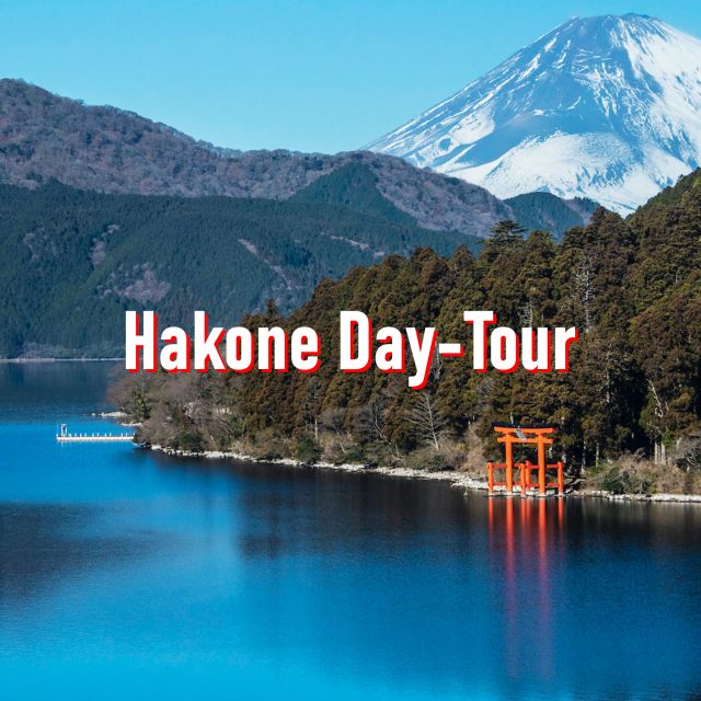 From Tokyo: 10-hour Hakone Private Custom Tour - Customization Options