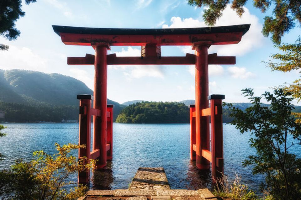 From Tokyo: Hakone and Owakudani Private Day Trip - Driver and Language Options