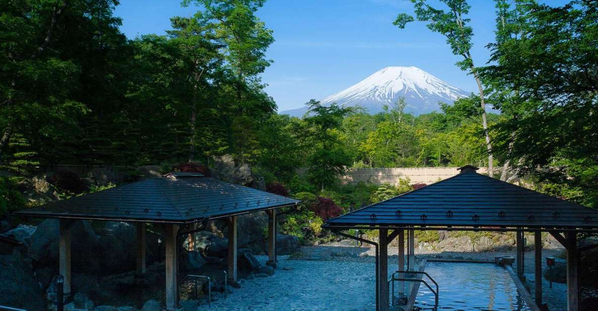 From Tokyo: Mount Fuji Day Trip With Yamanakako Hot Springs - Highlights