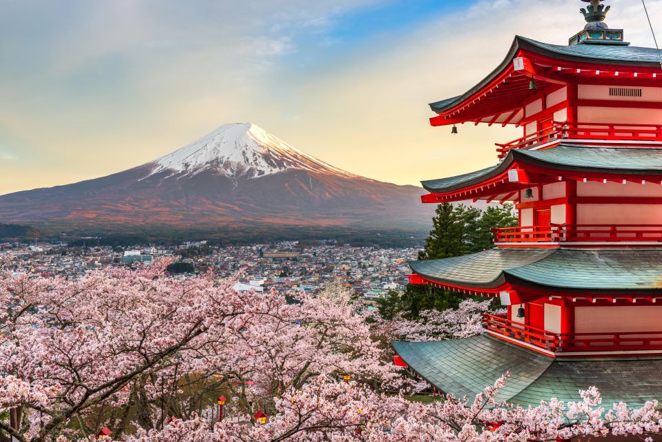 From Tokyo: Mt. Fuji or Hakone Private Sightseeing Day Trip - Itinerary B - The Serenity of Hakone
