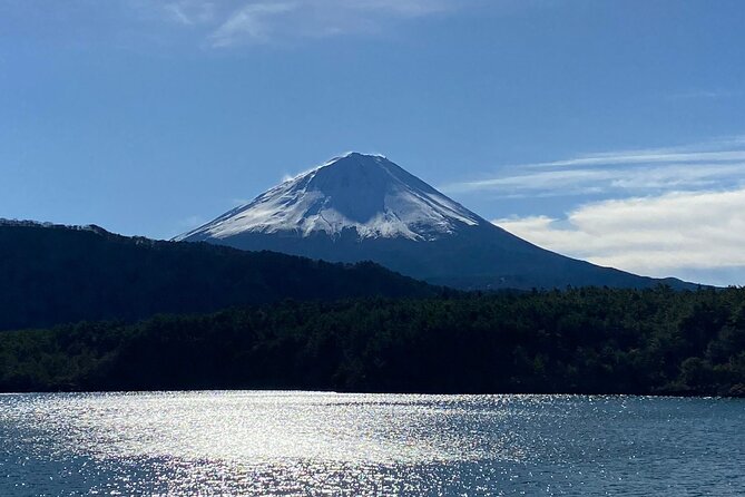 Fuji Spiritual Private Tour With Lunch and Dinner - Reviews