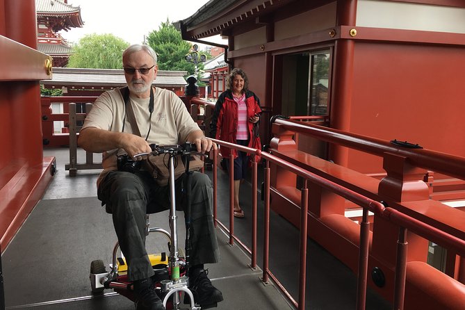 Full-Day Accessible Tour of Tokyo for Wheelchair Users - Price and Terms