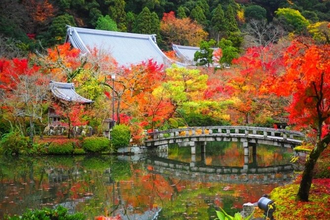 Full Day Hidden Kyotogenic for Autumn Tour in Kyoto - Culinary Experiences