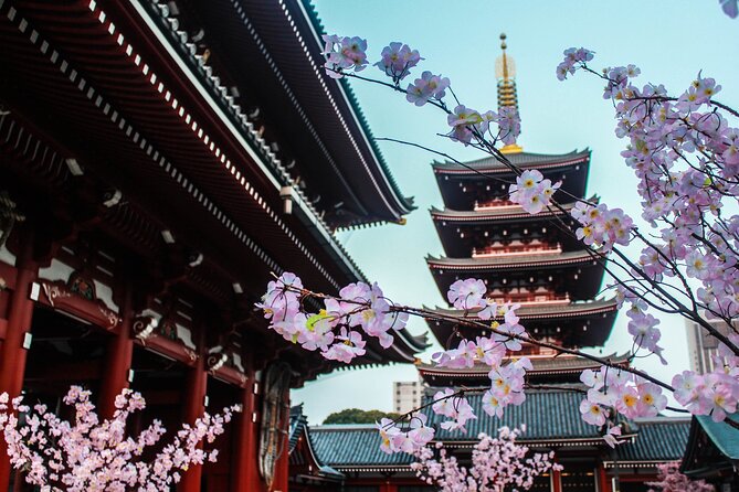 Full Day Kyoto and Nara Guided Tour - Insider Tips
