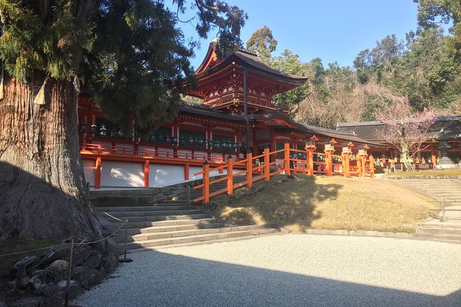 Full-Day Private Guided Tour to Nara Temples - Itinerary Highlights