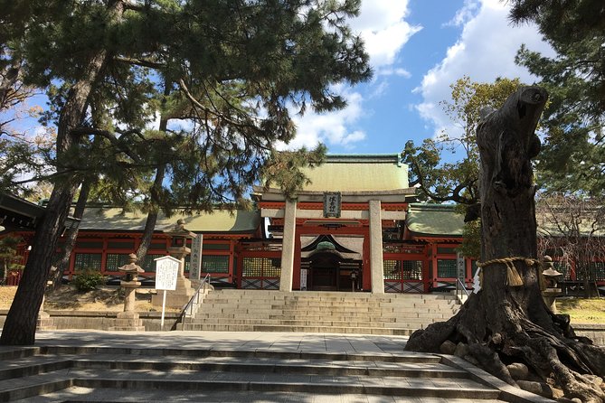 Full-Day Private Guided Tour to Osaka Palaces and Temples - Historical Insights