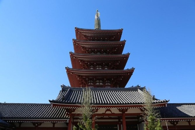 Full Day Tokyo Chartered Taxi Tour From Narita - Group Size & Pricing