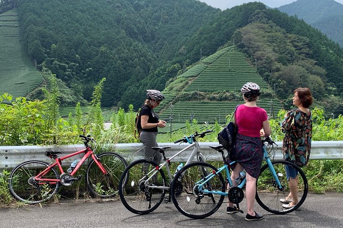 Guided Bike Tour to a Green Tea Farm in Shizuoka - Tea Farm Experience