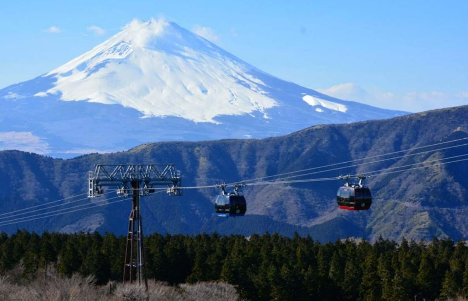 Hakone: 10-hour Customizable Private Tour - Transportation and Pick-up Details