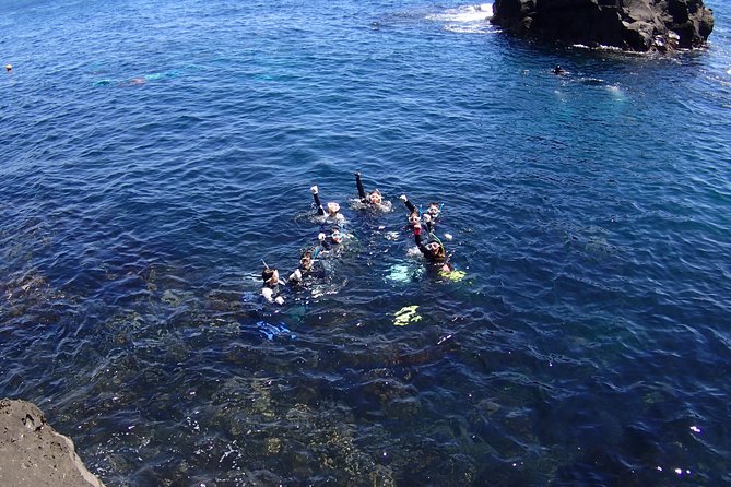 Half-Day Snorkeling Course Relieved at the Beginning Even in the Sea of Izu, Veteran Instructors Wil - Important Information for Participants