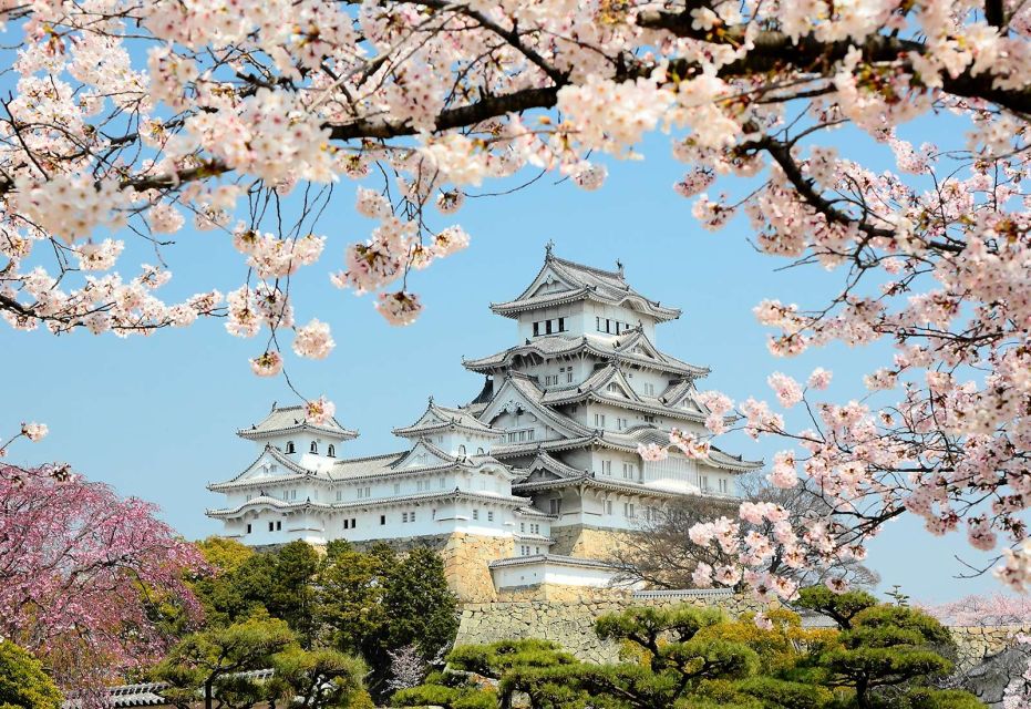 Himeji: Private Customized Tour With Licensed Guide - Guides Expertise