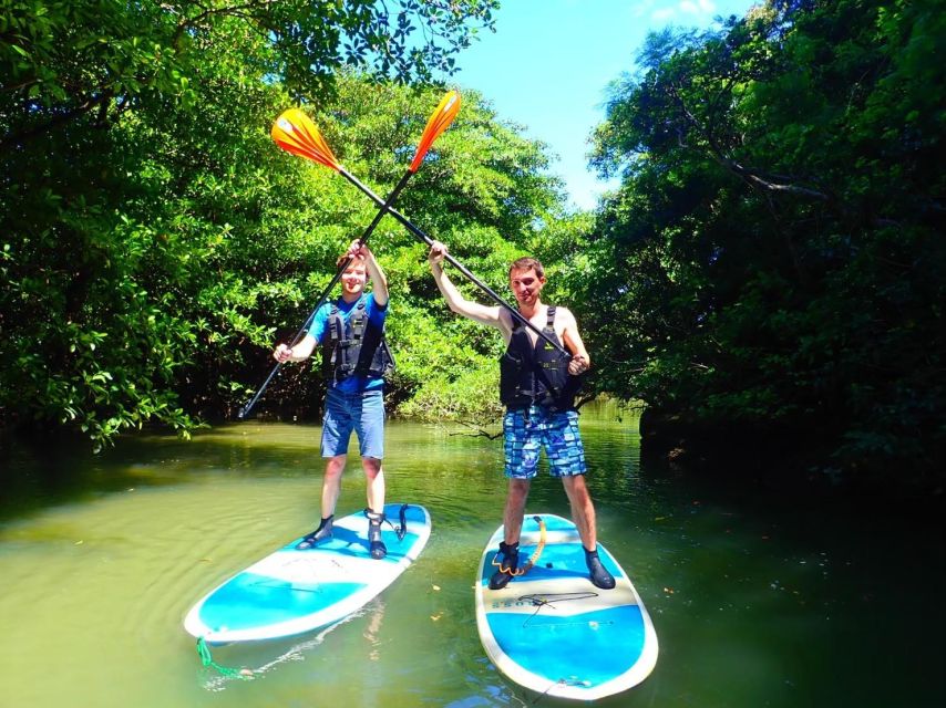 Ishigaki Island: SUP/Kayaking and Snorkeling at Blue Cave - Full Description of the Tour