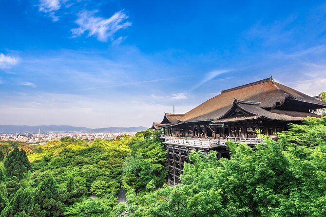 Kyoto 8 Hr Tour From Osaka: English Speaking Driver, No Guide - Transportation Details