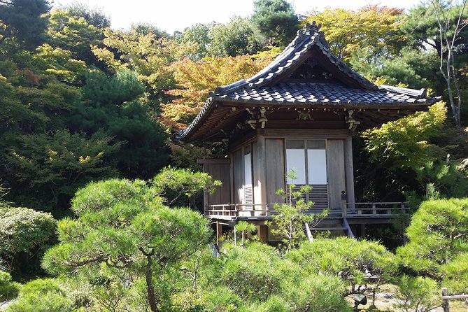 Kyoto : Immersive Arashiyama and Fushimi Inari by Private Vehicle - Praise for Kyoto and Nara Private Day Tour