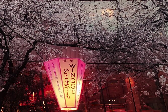 Licensed Guide Tokyo Meguro Cherry Blossom Walking Tour - Traveler Reviews