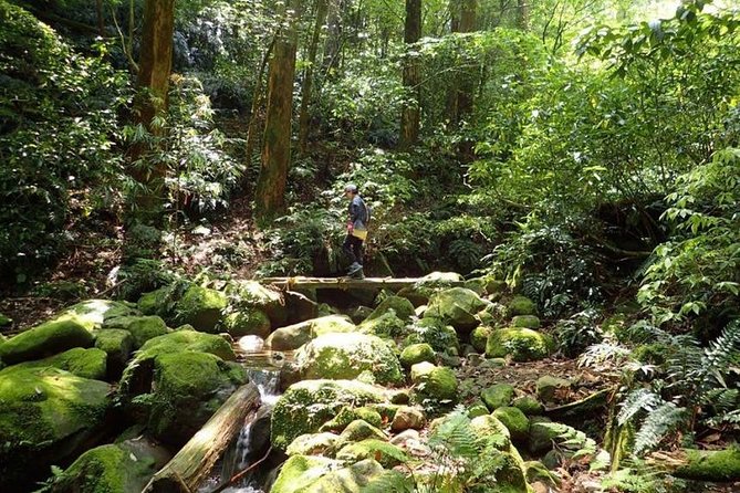 Miyazaki Valley Waterfall Hike - Additional Information