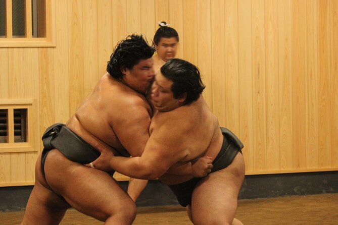 Morning Sumo Practice Viewing in Tokyo - Reviews