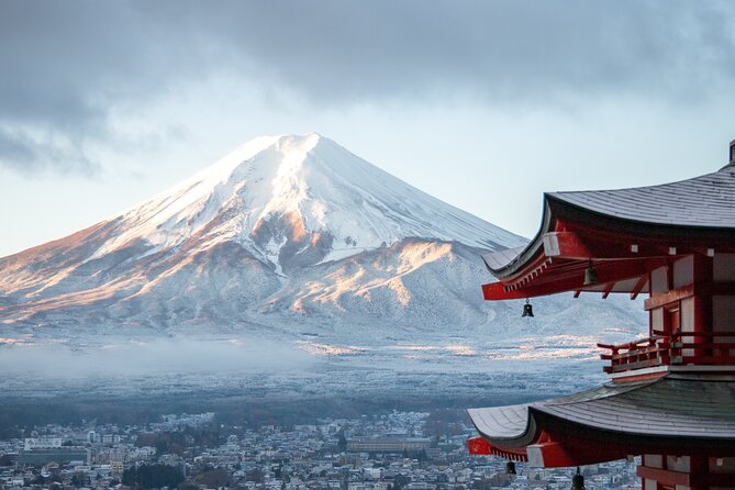 MOUNT FUJI And Hakone Sightseeing Adventure With Guide - Positive Reviews About the Tour Guide and Smooth Organization