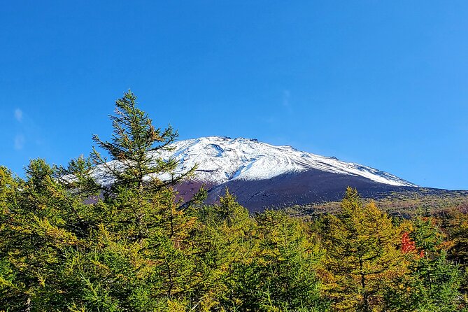 Mount Fuji Personalized Private Tour With English Speaking Guide - Tour Details