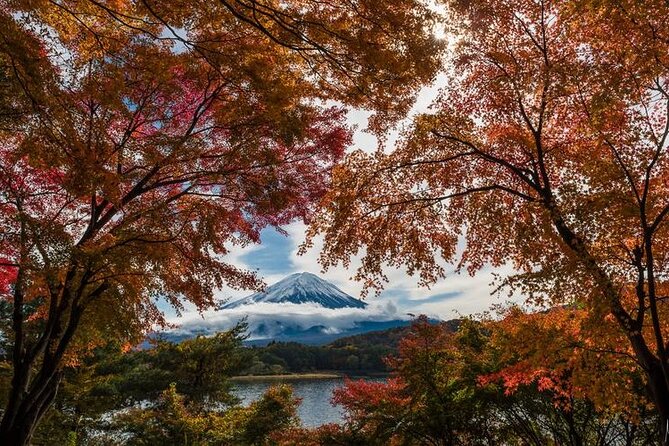 Mount Fuji Private Tour by Car With Pick up - Cancellation Policy