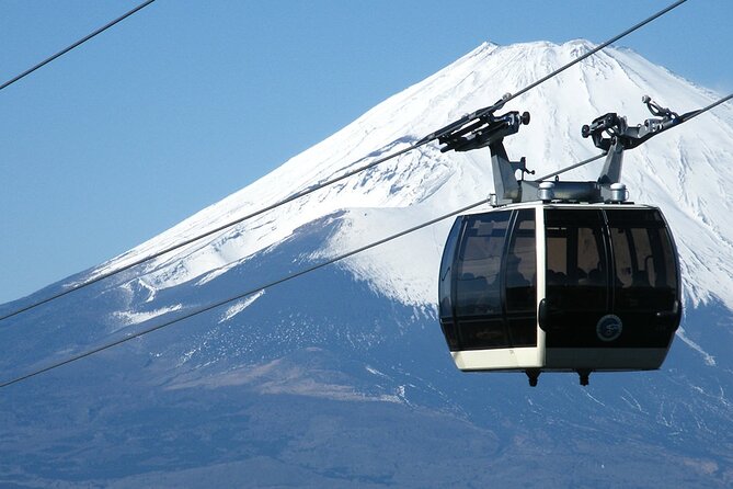 Mt Fuji and Ashinoko With Hakone Sightseeing Cruise 1 Day Tour - Cancellation Policy