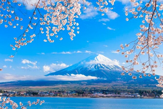 Mt. Fuji Area Tour Tokyo DEP: English Speaking Driver, No Guide - Reviews