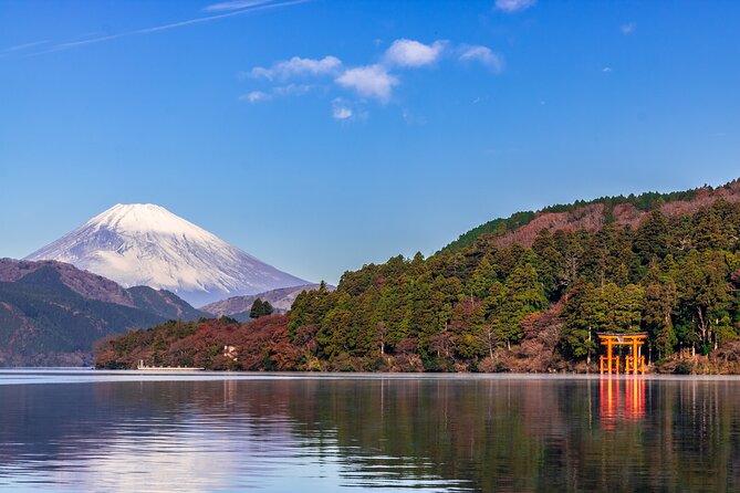 Mt. Fuji & Hakone 1 Day Tour From Tokyo (Return by Bullet Train in Option） - Tour Guides and Organization