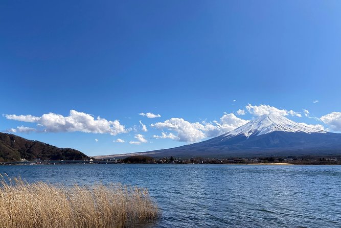 Mt Fuji Half-Day Tour By Car - Reviews and Testimonials