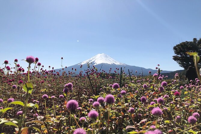 Mt Fuji With Kawaguchiko Lake Day Tour - Exclusions
