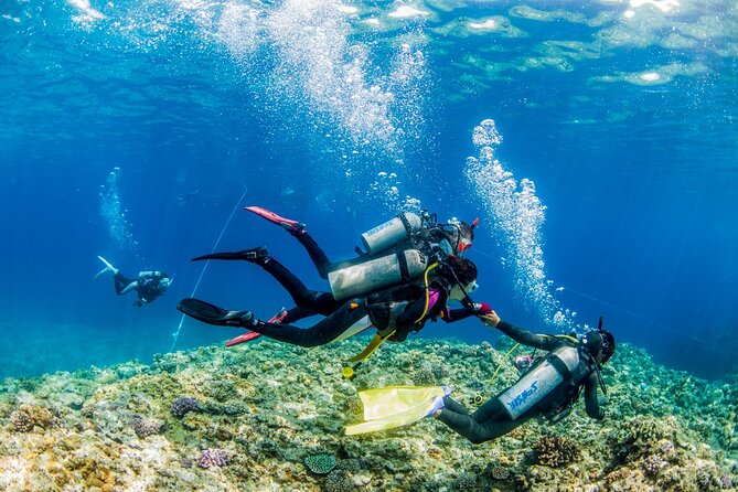 Naha: Full-Day Introductory Diving & Snorkeling in the Kerama Islands, Okinawa - What To Expect