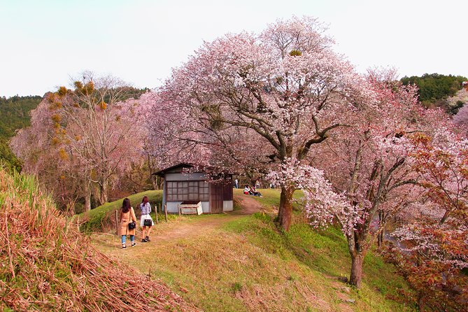 Nara Day Trip From Kyoto With a Local: Private & Personalized - Pricing and Terms