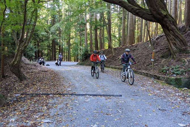 Nara - Heart of Nature Bike Tour - Traveler Reviews and Ratings