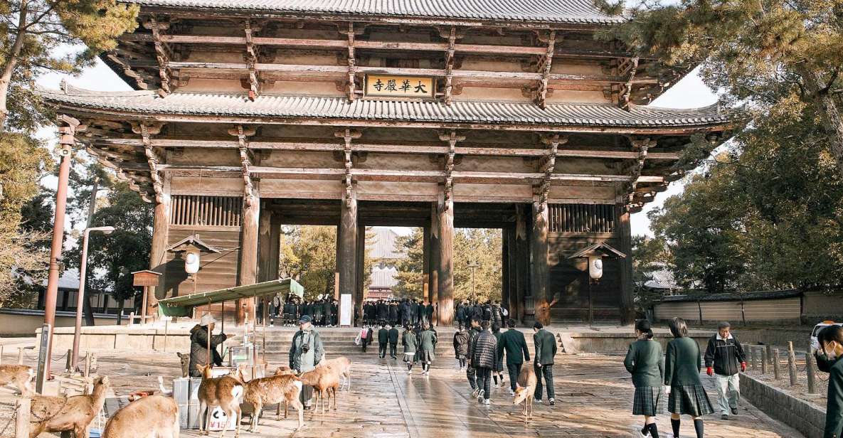 Nara Like a Local: Customized Guided Tour - Full Description